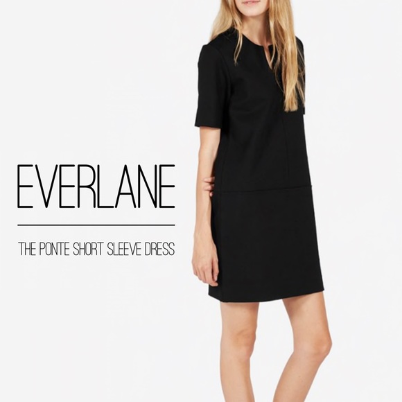 Ponte Short Sleeve Dress By Everlane Sz 